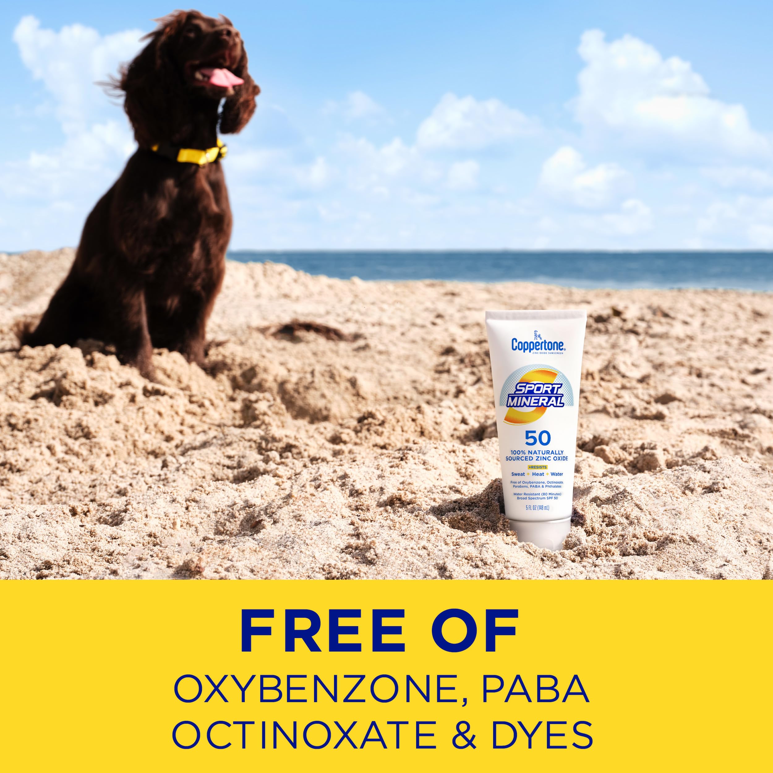 Coppertone SPORT Sunscreen Lotion Broad Spectrum SPF 100 (3 Fluid Ounce) (Packaging may vary)